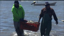 Pescadores no pierden la esperanza