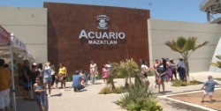 Esperan llenos totales en Acuario Mazatlán