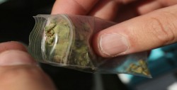 Aseguran en Nuevo León más de 14 kilos de drogas