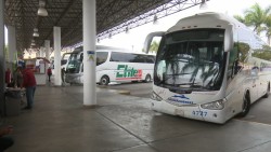 Baja afluencia de pasajeros en centrales de autobuses