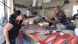 Aumentan ventas de pescados y mariscos