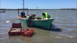 ICATSIN reforzará capacitación en campos pesqueros