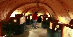 Asegura Profepa 63 animales en herpetario de Six Flags