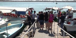 A la baja visitantes a la isla de la piedra