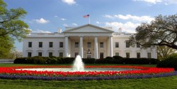 Casa Blanca prepara nueva propuesta de ley migratoria tras "muerte" de DACA