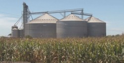 Situación del campo se agudizará por periodo electoral