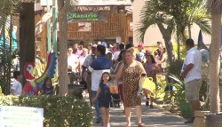Supera expectativa de visitas Acuario Mazatlán