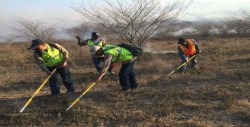 15 incendios forestales se han registrado  en Sinaloa