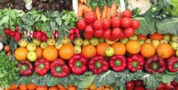¿Es mejor el alimento orgánico que el industrializado? En realidad son iguales