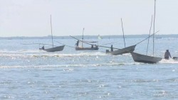 Pescadores inconformes por propuesta le ley de biodiversidad