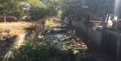 Piden limpieza de arroyo en tramo de calle Pedro María Anaya