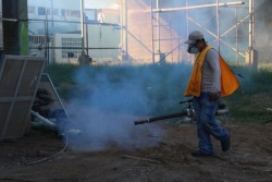 Afecta paro acciones de fumigación
