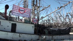 Pescadores reunidos en México