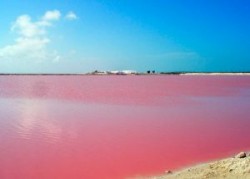 Este lago rosa se encuentra en México
