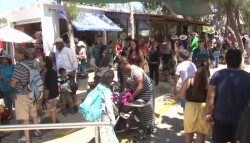 45 mil personas visitaron el Acuario en dos semanas