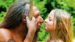 Las cejas son pieza clave de la evolución revela estudio