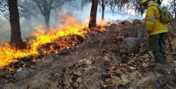 Suspenden clases en municipios de Jalisco por incendio forestal