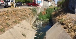 Mucha rama y basura en canalito que pasa por la Maquío