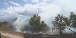 Se deben establecer barreras en terrenos para evitar incendios
