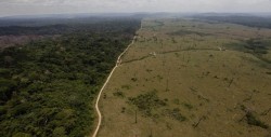 Una web permitirá ver los problemas ambientales de cada zona del planeta