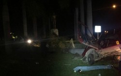 Se estrella contra palmera y muere