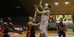 Caballeros domina a los Halcones