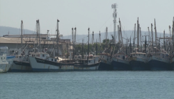 Acuerdos benéficos para la pesca: Michel