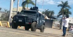 Trasladan a "El Koala"