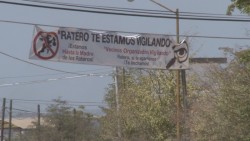 Advierten de "linchamiento" a ladrones en Prados del Sol