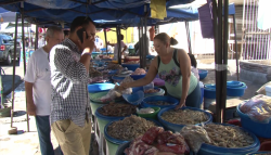 Buenas ventas mantienen las "changueras"