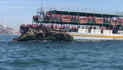 Pasean turistas en catamarán