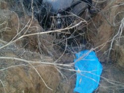 Muere mujer en volcadura