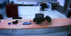 Investigan a funcionarios por desaparición de joyas robadas