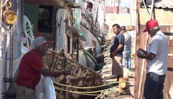 Piden apoyo pescadores de altamar, viven de manera precaria