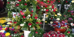 Se mantiene precio de la flor para este 10 de Mayo