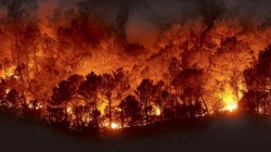 Urgen a conformar más brigadas contra incendios forestales