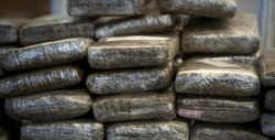 Policía colombiana incauta 3,5 toneladas de marihuana en el suroeste del país