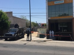 PGR catea edificio utilizado como invernadero de Marihuana