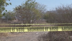 Pese a brotes de violencia, homicidios a la baja en comparación a 2017