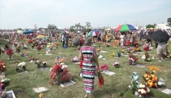 Bandas de música podrán tocar en panteones