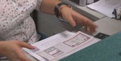 Cómo hacer la reposición de la tarjeta de circulación