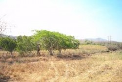 Piden apoyo para "El Arenal"