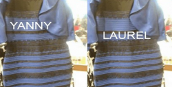 ¿Por qué algunas personas escuchan "Yanny" y otras "Laurel"?