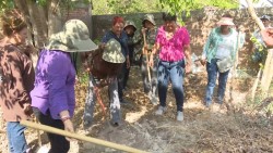 Grupos de búsqueda logran reconocimiento