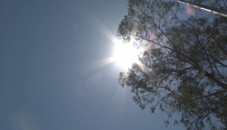 Aumenta el calor y los riesgos en la salud