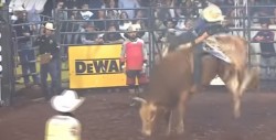 #VideoFuerte Jinete muere pisoteado por un toro