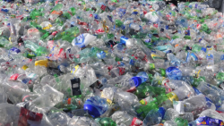 Falta visión y concientización del reciclaje en Sinaloa