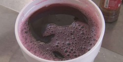 Jamaica con beneficios para la salud