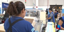 Bajó el desempleo