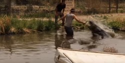 #VideoFuerte Cocodrilo casi le arranca la mano a un cuidador que transmitía en vivo
